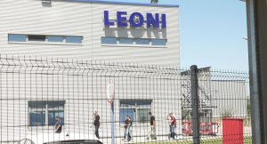 Leoni-Malosiste